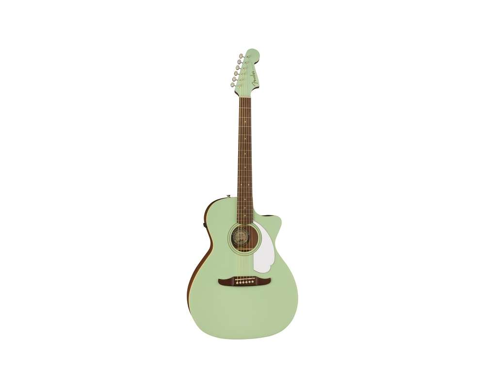 Fender Newporter Player SFG WN