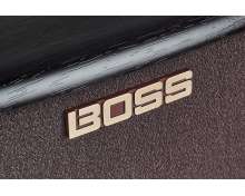 Boss AC-22LX