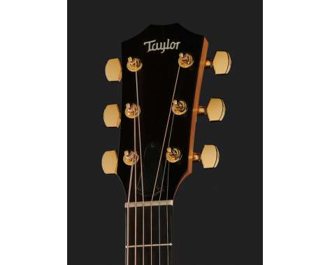 Taylor 222ce-K DLX