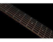 Taylor 222ce-K DLX