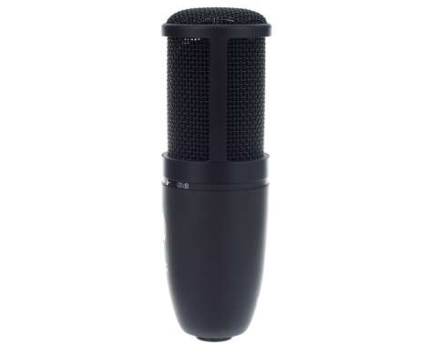 AKG P120