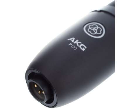 AKG P120