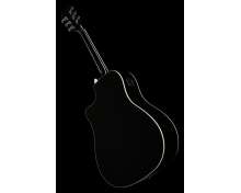 Fender FA-125CE II Blk