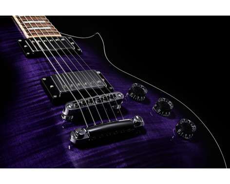 ESP LTD EC-256FM STPSB