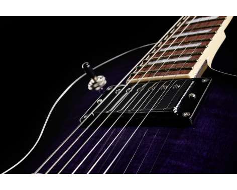 ESP LTD EC-256FM STPSB