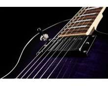 ESP LTD EC-256FM STPSB