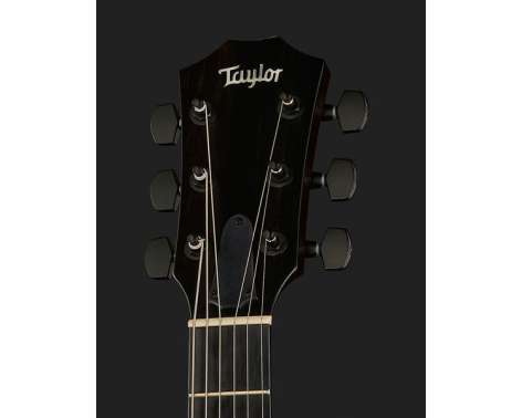 Taylor T5z Classic Sassafras