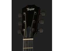 Taylor T5z Classic Sassafras