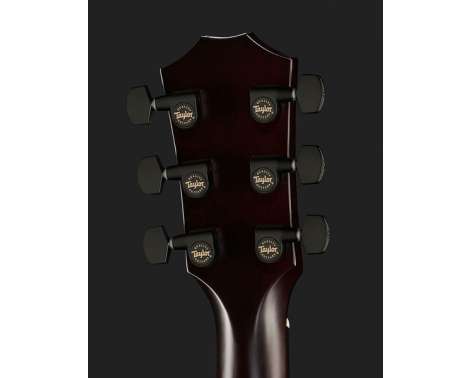 Taylor T5z Classic Sassafras