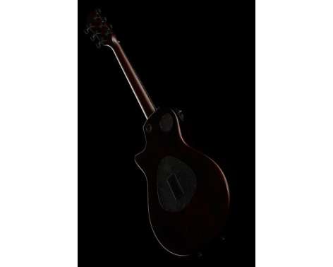 Taylor T5z Classic Sassafras