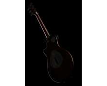 Taylor T5z Classic Sassafras