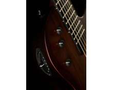 Taylor T5z Classic Sassafras