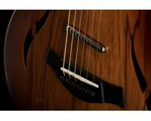 Taylor T5z Classic Sassafras