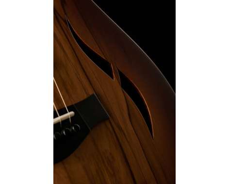 Taylor T5z Classic Sassafras