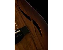 Taylor T5z Classic Sassafras