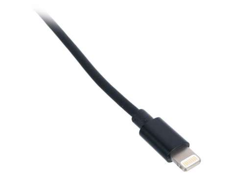 Ansmann Lightning/Charging Cable 200