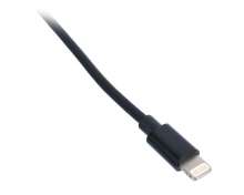 Ansmann Lightning/Charging Cable 200