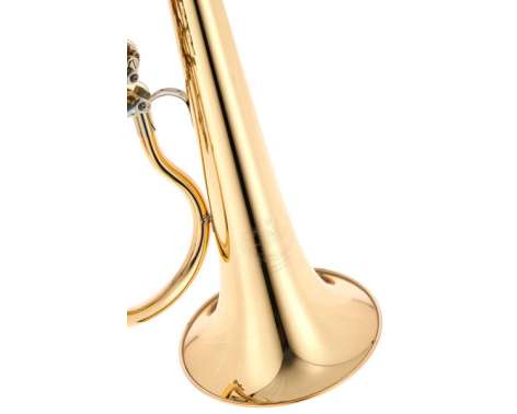 B&S 3017/2TR-L Bb Flugelhorn