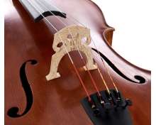 Edgar Russ Linea Macchi Cello Stradivari