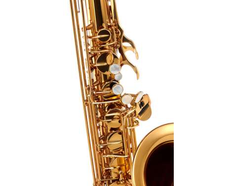 Forestone GX Gold Lacquered Tenor Sax