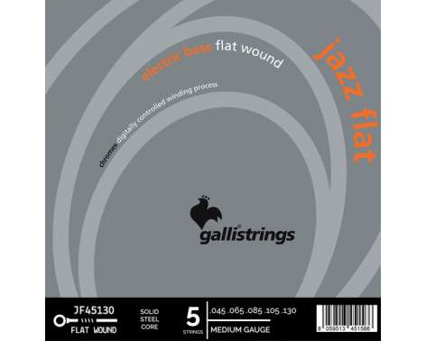 Galli Strings JF45130 Jazz Flat Long Scale