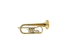 Gerd Dowids BZ-Series Bb-Flugelhorn G88