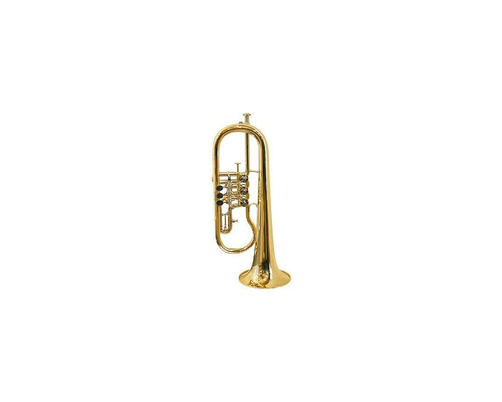 Gerd Dowids BZ-Series Bb-Flugelhorn G88 GP