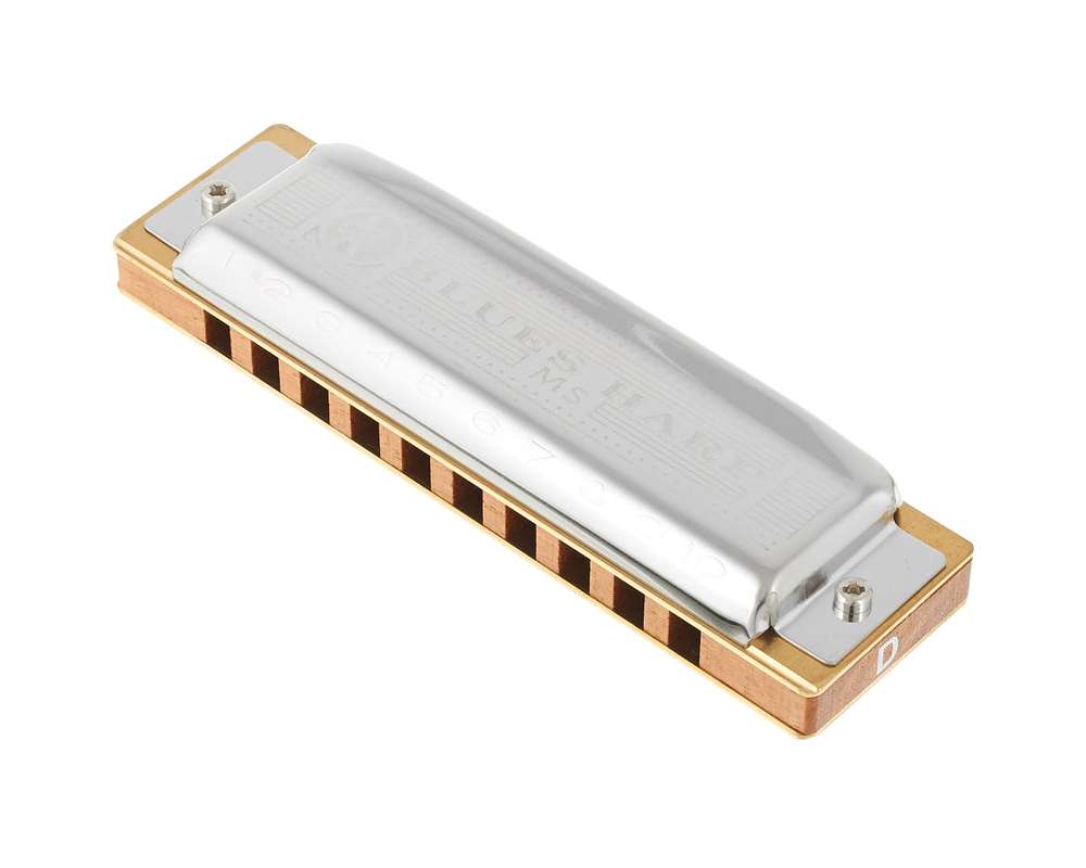 Hohner Blues Harp MS D