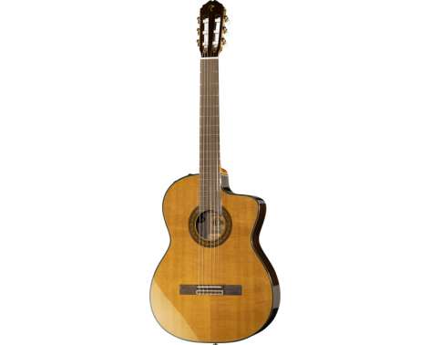 Takamine TC132SC w/Softase