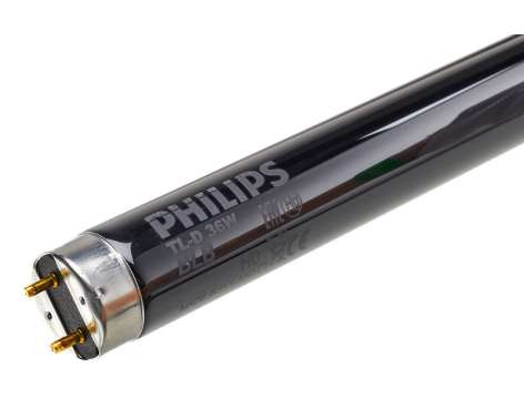 Philips UV40 120cm Tube T8 BLB 36W