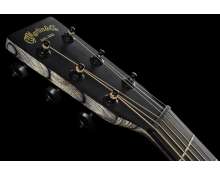 Martin Guitars GPCX1E