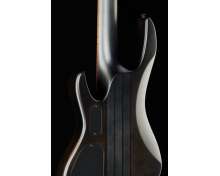 ESP LTD D-5 Black Natural Burst