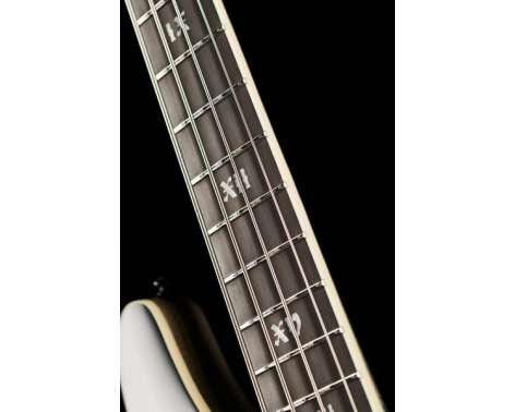 Schecter SLS Evil Twin-4 SBK