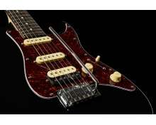 Larry Carlton S3 BK