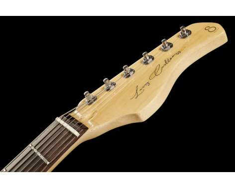 Larry Carlton S3 BK