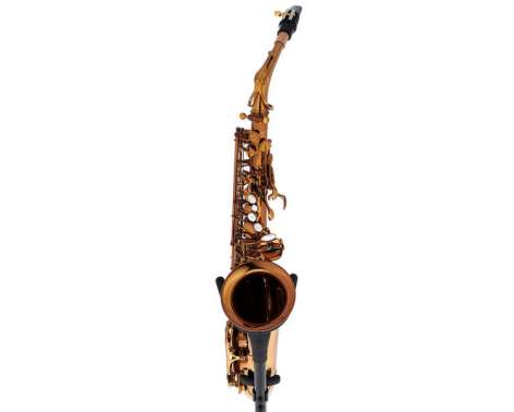 Rampone & Cazzani Performance Line Alto Sax