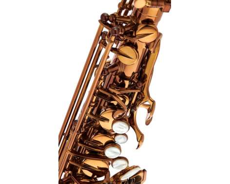 Rampone & Cazzani Performance Line Alto Sax