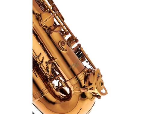 Rampone & Cazzani Performance Line Alto Sax