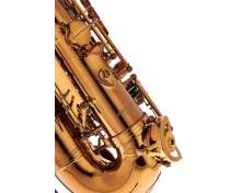 Rampone & Cazzani Performance Line Alto Sax