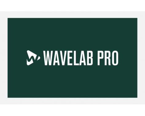 Steinberg Wavelab Pro 12