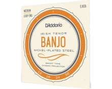 Daddario EJ63i Irish Tenor Banjo Set