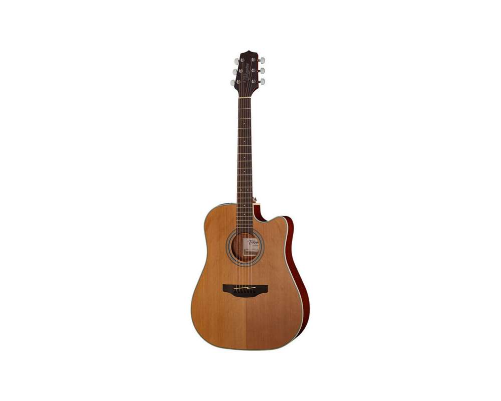 Takamine GD20CE-N