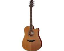 Takamine GD20CE-N