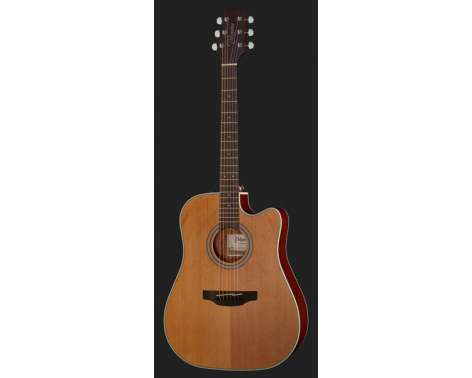 Takamine GD20CE-N