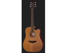 Takamine GD20CE-N