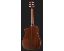 Takamine GD20CE-N