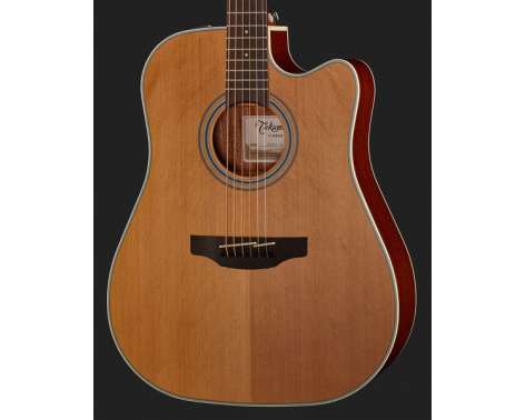 Takamine GD20CE-N