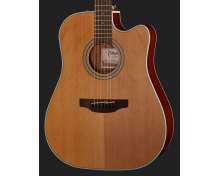 Takamine GD20CE-N