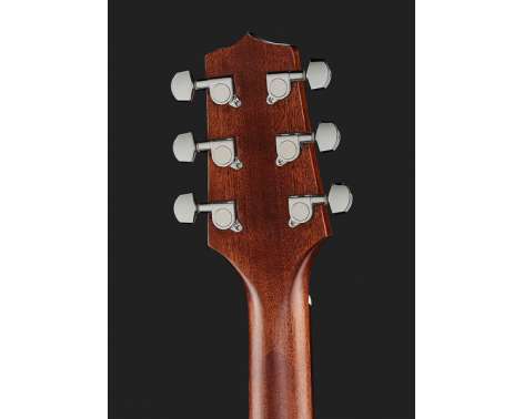 Takamine GD20CE-N