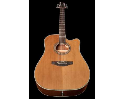 Takamine GD20CE-N